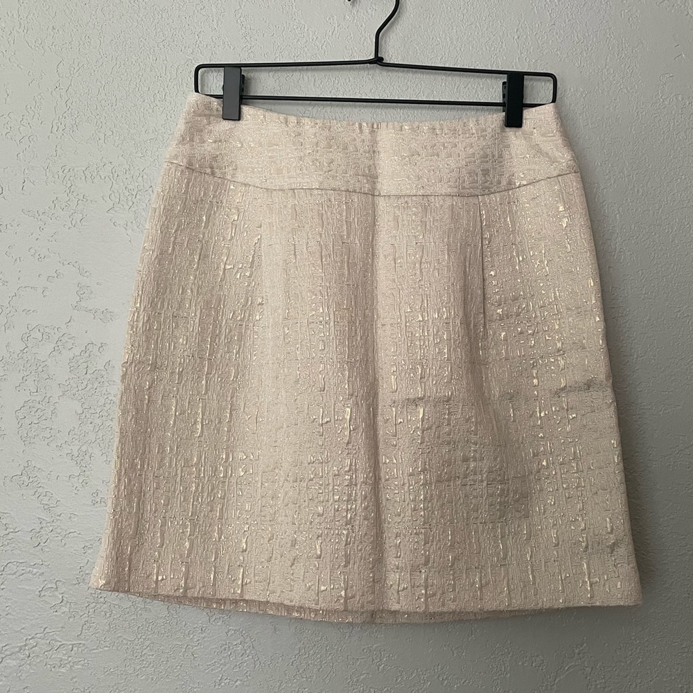 Merona skirt